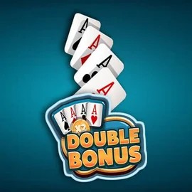 Enjoy Double Double Bonus by Red Rake Gaming – logo hosted on casoola-casino.eu